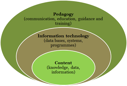 The library's fields of action can be described as content, information technolofy and pedagogy