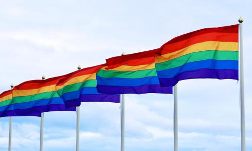 A row of pride flags waving in the wind