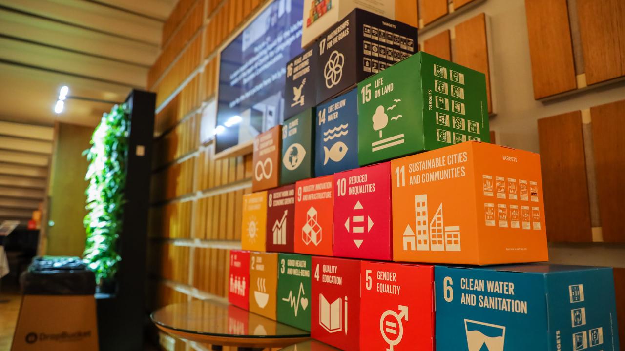 Blocks with the SDG goals