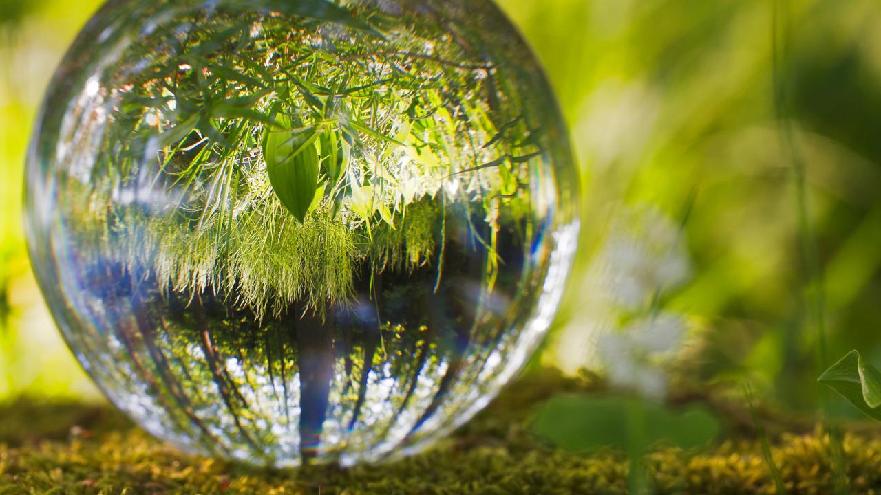 Nature showing in a glass ball