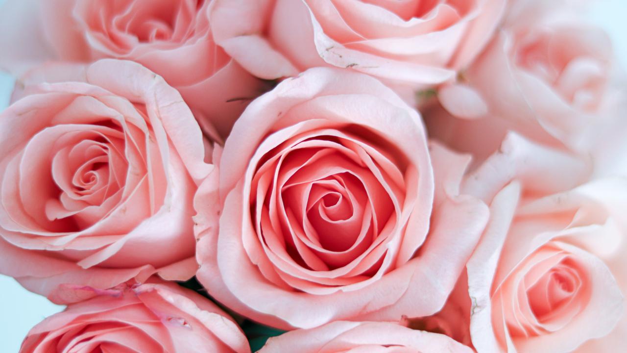 Bukett med rosa rosor