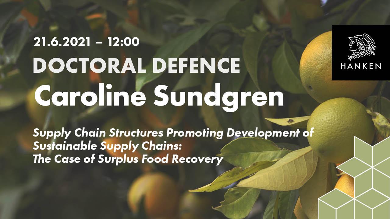 web disputation sundgren