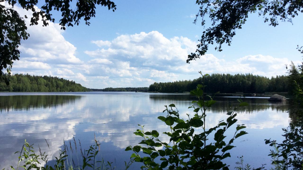 Finskt insjölandskap