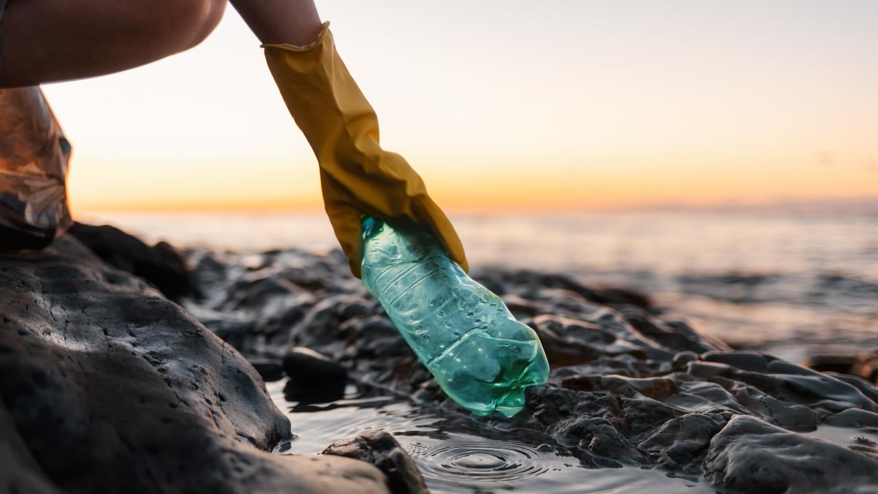 En gummihandskbeklädd hand som plockar en gammal plastflaska på en strand