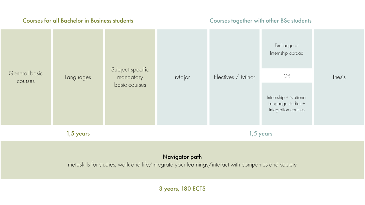 Hanken Bachelor in Business programme diagram