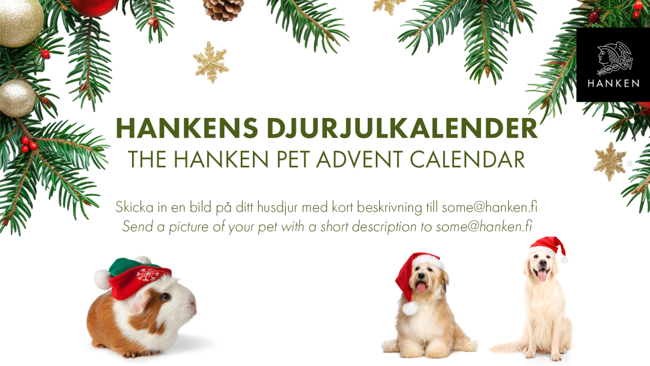 Julhundar och hamster