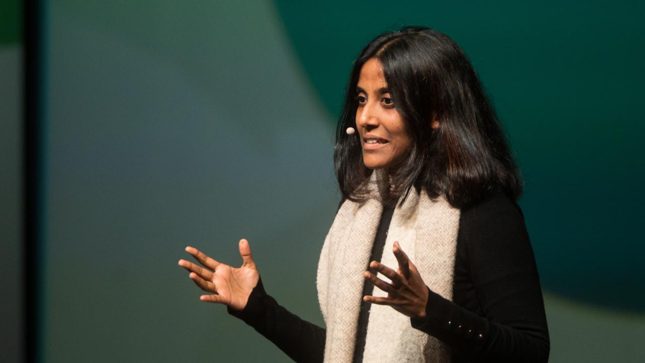 Mrinalini föreläser