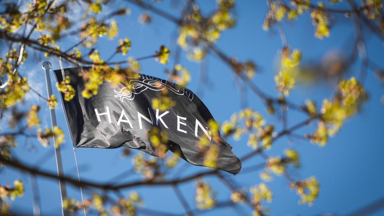 Hanken flag against a blue sky with green trea branches in front.