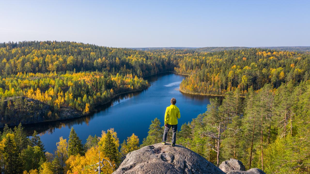 A person standing on a cliff, looking at a lake surrounded by forest.