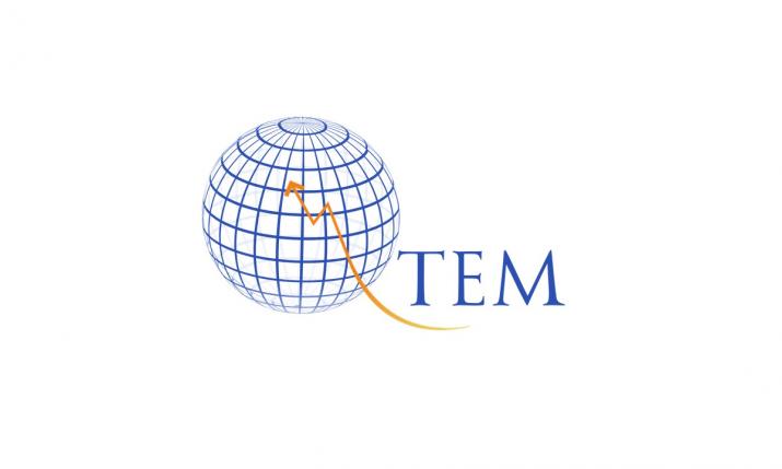 Logo of QTEM
