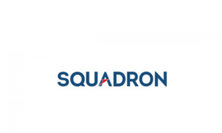 Squadron logo