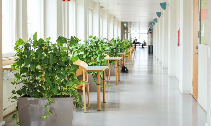 A long corridor with tables, chairs and plants