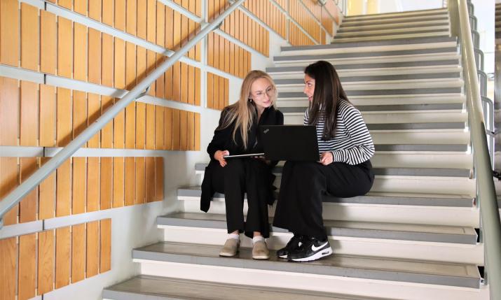 Libguides_studerande på trappor