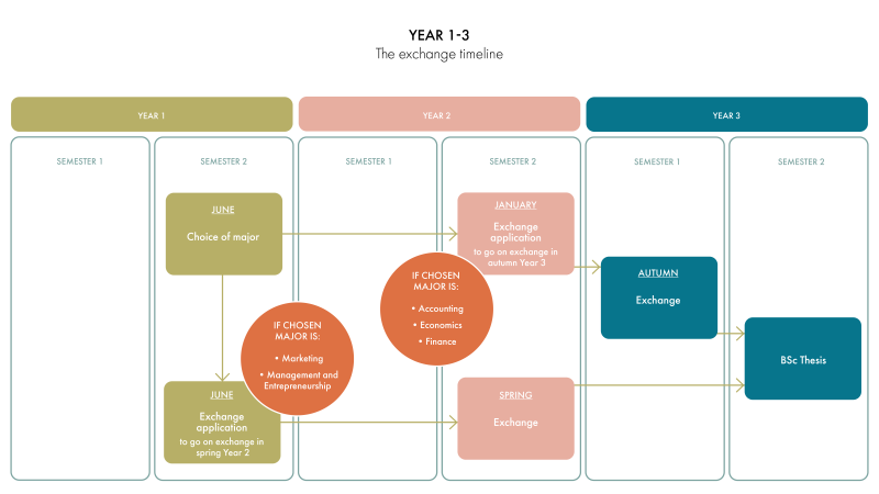 bib_structure_marketing_year_1-3_the_exchange_timeline.png