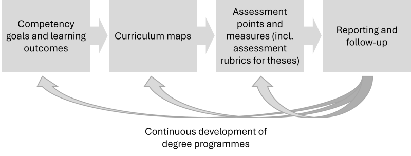 Overview of AoL process: competency goals and learning outcomes; curriculum maps; assessment points and measures; reporting and follow-up.