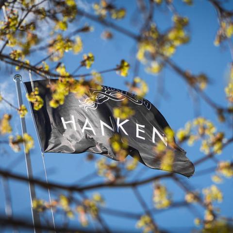 Hankens flagga mot blå himmel