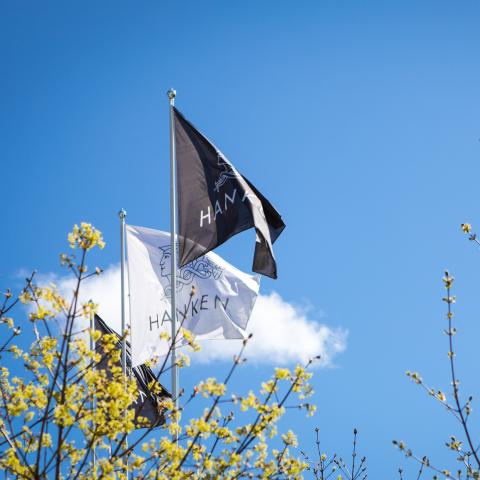 Hankens flagga