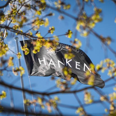 Hankens flagga framför blå himmel