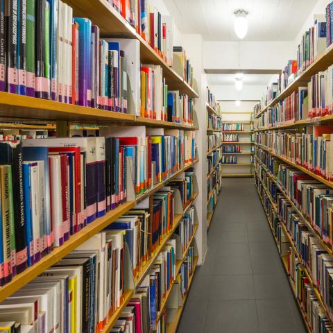 Biblioteket bokgrottan bokhyllor