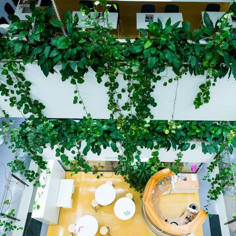 Arkadiabyggnaden i Helsingfors