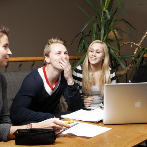 Hanken students
