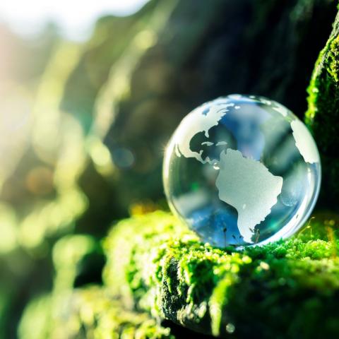 sustainable development