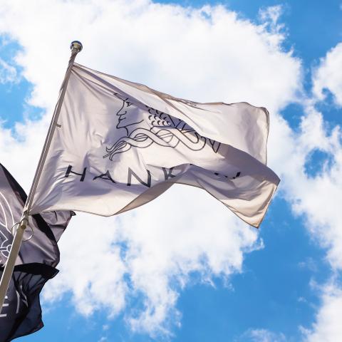 Hanken flaggor mot sommarhimmel