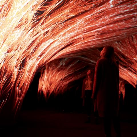 Person tittar på en ljusinstallation föreställande brand