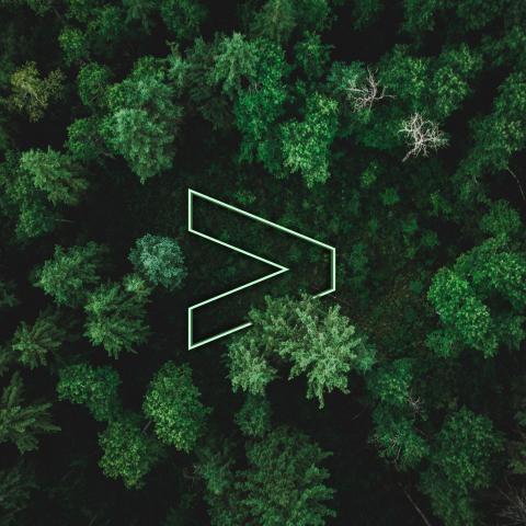 Accentures logotyp i mitten av en skog