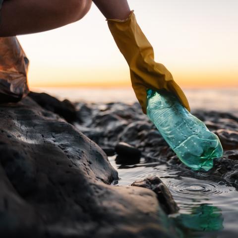 En gummihandskbeklädd hand som plockar en gammal plastflaska på en strand
