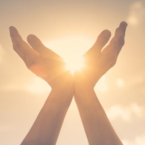 Händer som sträcker sig mot solen