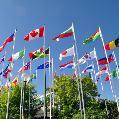 Olika nationaliteters flaggor vajar i vinden mot en klarblå himmel.