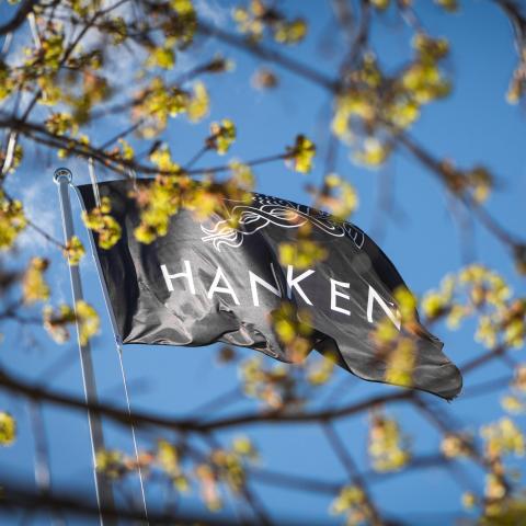 Hanken flag against a blue sky with green trea branches in front.