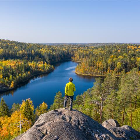 A person standing on a cliff, looking at a lake surrounded by forest.