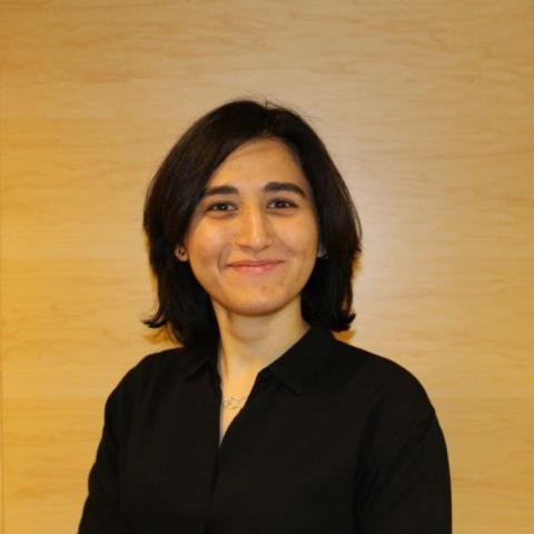 Maria Gaudiino's photo